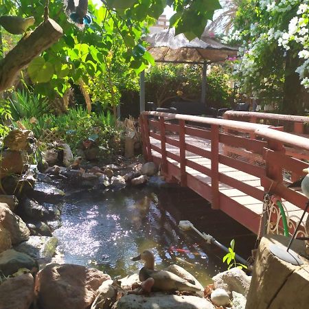 Апартаменты Lotus Turtle Garden Эйлат Экстерьер фото