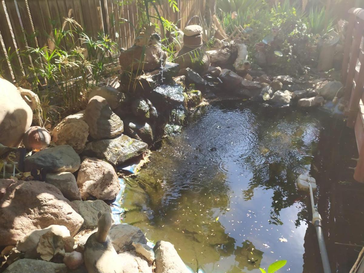 Апартаменты Lotus Turtle Garden Эйлат Экстерьер фото